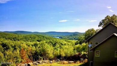 Goose Pond Home For Sale in Tyringham Massachusetts