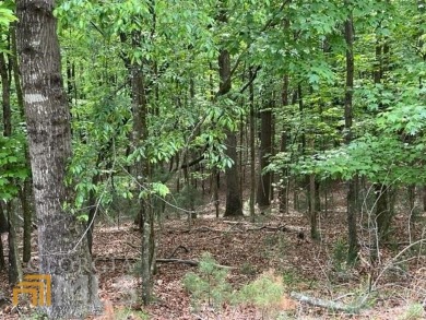 MOUNTAIN TIME! Buckhorn Estates is ideally located between - Lake Lot For Sale in Ellijay, Georgia