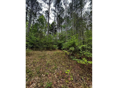 APPROX 197 ACRES LAFAYETTE COUNTY TIMBERLAND, GENTLY ROLLING - photo 13