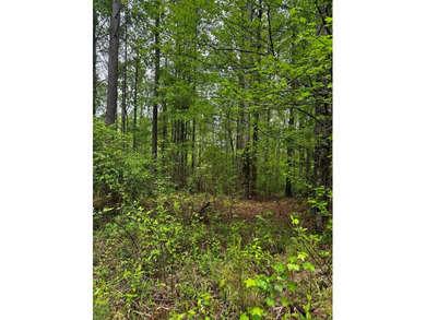 APPROX 197 ACRES LAFAYETTE COUNTY TIMBERLAND, GENTLY ROLLING - photo 20