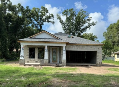 Lake Joyce Home For Sale in Land O Lakes Florida