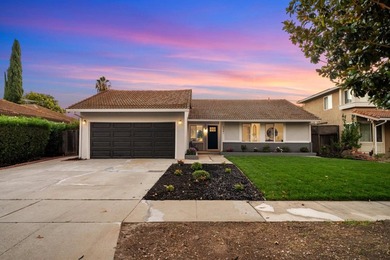 Stunning, top-to-bottom renovation in one of San Jose's most - photo 38