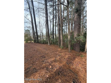 Lake Lot For Sale in Rocky Point, North Carolina