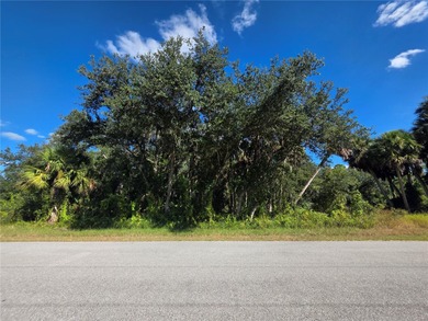 Port Charlotte Waterway Area Lot For Sale in Port Charlotte Florida