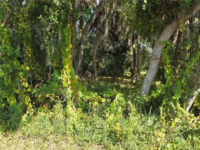 Welcome to paradise!! Build your house on this vacant lot on a - photo 4
