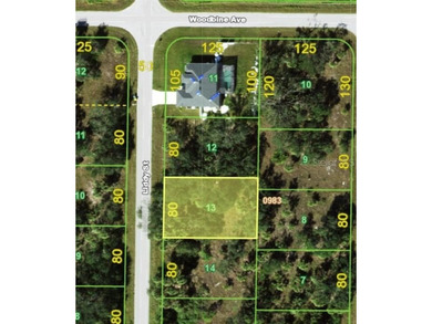 Welcome to paradise!! Build your house on this vacant lot on a - photo 5