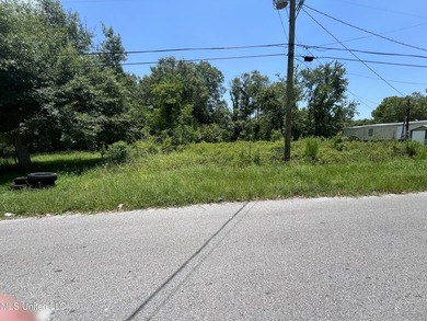 Great ground-floor investment opportunity on this vacant lot - photo 1