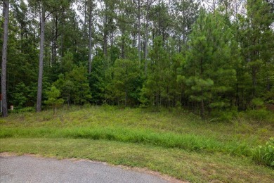 Lake Lot Sale Pending in Lincolnton, Georgia
