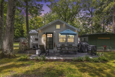 Lake Condo For Sale in Honor, Michigan