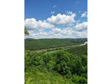 White River Acreage For Sale in Mountain View Arkansas