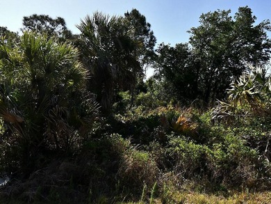 Build your dream home on this residential lot located on Bannock - photo 3