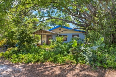 A unique, private piece of paradise tucked away in the heart of - photo 4