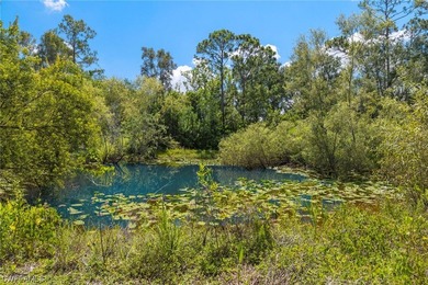 A unique, private piece of paradise tucked away in the heart of - photo 5