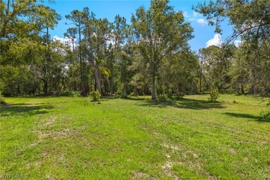 A unique, private piece of paradise tucked away in the heart of - photo 6
