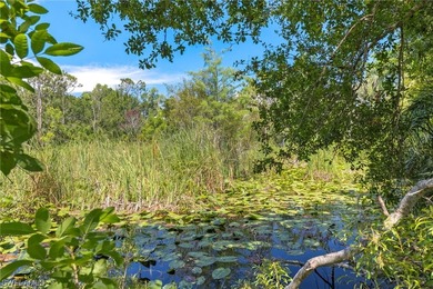 A unique, private piece of paradise tucked away in the heart of - photo 8