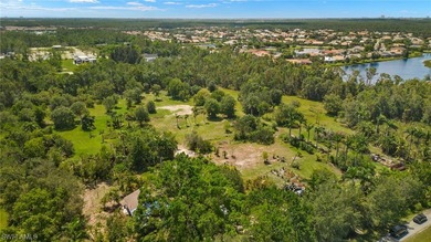 A unique, private piece of paradise tucked away in the heart of - photo 10