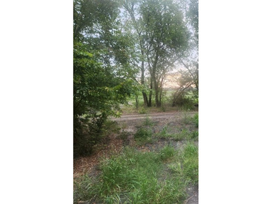 (private lake, pond, coastal) Acreage For Sale in Seagoville Texas