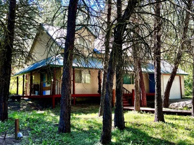 Lake Home For Sale in Cascade, Idaho