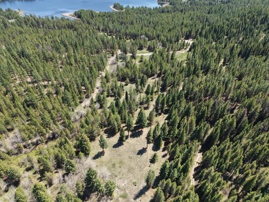 Mountain & Water Views! Rare opportunity to own 107 acres with - photo 3