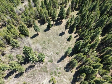 Mountain & Water Views! Rare opportunity to own 107 acres with - photo 5