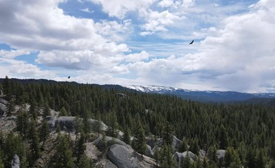 Mountain & Water Views! Rare opportunity to own 107 acres with - photo 10