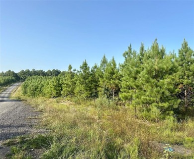 Lake Lot For Sale in Broken Bow, Oklahoma