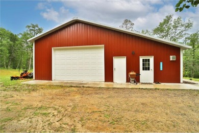 Lake Home Sale Pending in Ponto Lake Twp, Minnesota
