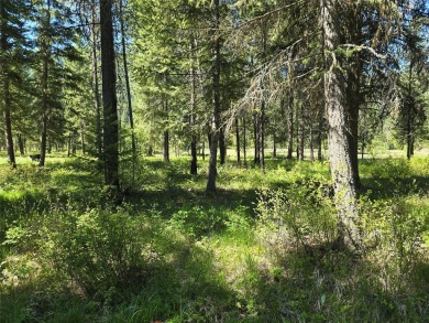 Clark Fork River - Mineral County Lot For Sale in St Regis Montana