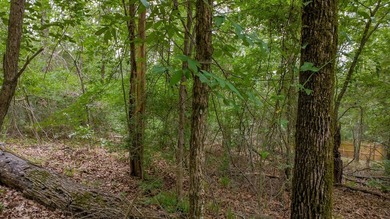 Tucked away on a quiet street in the gated community of Hideaway - photo 11