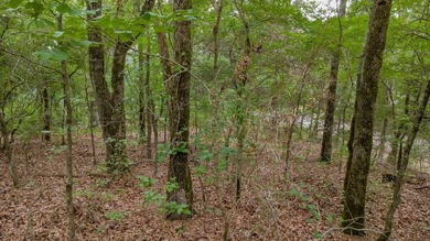 Tucked away on a quiet street in the gated community of Hideaway - photo 14