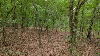 Tucked away on a quiet street in the gated community of Hideaway - photo 15