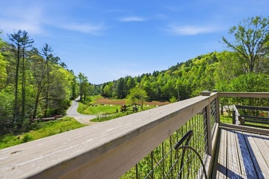 1244 Cook Creek Rd, Murphy NC - Updated Ranch on 3.52 - photo 2