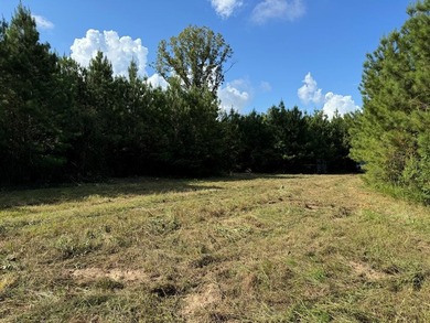 Lake Acreage For Sale in Bogue Chitto, Mississippi