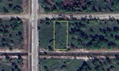 Lake Weohyakapka Lot For Sale in Indian Lake Estates Florida