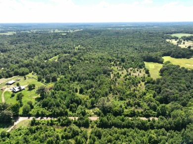 Lake Gilmer Acreage For Sale in Gilmer Texas