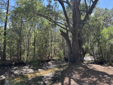 Beautiful 3.17 acre lot - private, wooded, and backs to tidal - photo 11