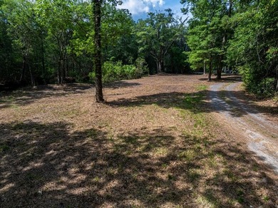 Beautiful 3.17 acre lot - private, wooded, and backs to tidal - photo 12