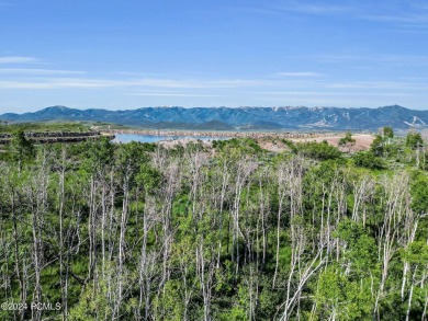 Nestled in the Aspens this new construction home offers privacy - photo 13