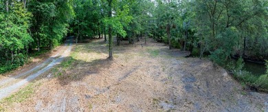 Beautiful 3.17 acre lot - private, wooded, and backs to tidal - photo 14
