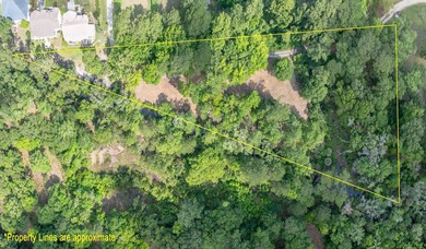 Beautiful 3.17 acre lot - private, wooded, and backs to tidal - photo 15