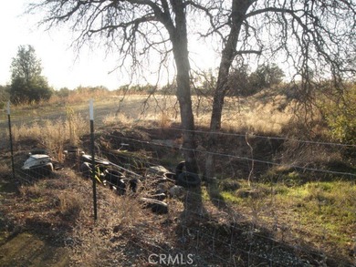 4288 Olive Hwy - photo 16