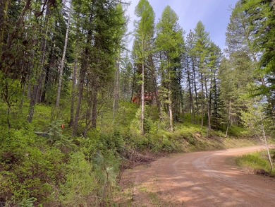 LESS THAN 0.5 MILES to Lake Cascade! Head out from nearby Blue - photo 3