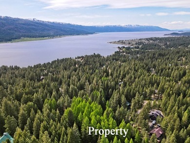 LESS THAN 0.5 MILES to Lake Cascade! Head out from nearby Blue - photo 4