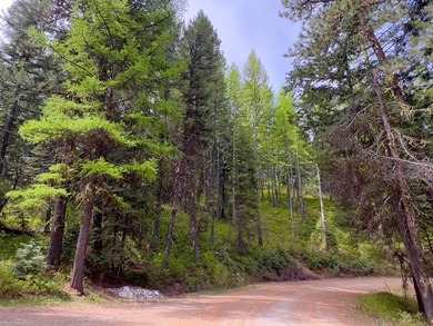 LESS THAN 0.5 MILES to Lake Cascade! Head out from nearby Blue - photo 8