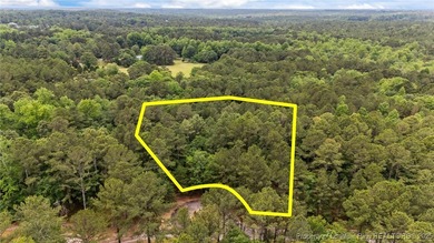 Lake Auman Lot For Sale in West End North Carolina