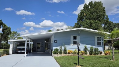 Lake Home For Sale in Zellwood, Florida