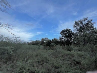 (private lake, pond, creek) Lot For Sale in Wallis Texas