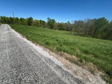 Discover your perfect retreat near scenic Center Hill Lake! This - photo 4