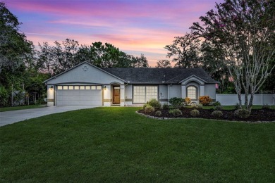 Lake Home Sale Pending in Deltona, Florida