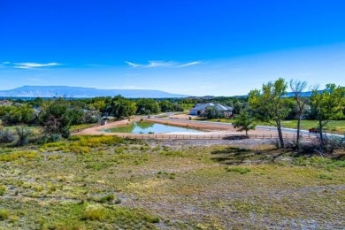 (private lake, pond, creek) Lot For Sale in Grand Junction Colorado